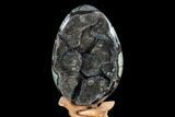 Septarian Dragon Egg Geode - Black Crystals #107184-1